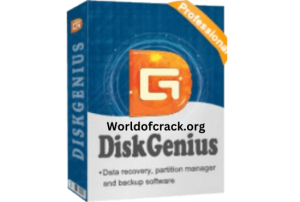 DiskGenius Professional Crack